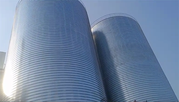 平房2座混凝土高架卷板仓